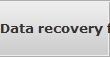 Data recovery for Twelve Mile data